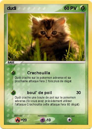 Pokemon dudi