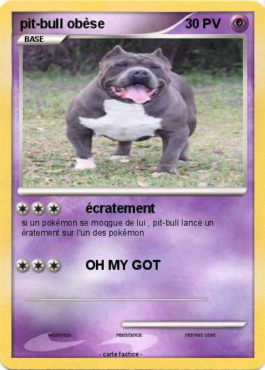 Pokemon pit-bull obèse