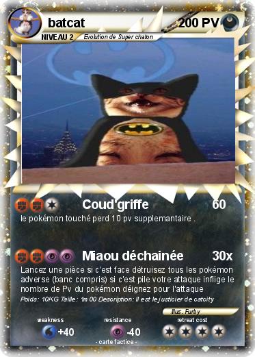 Pokemon batcat