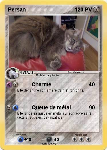 Pokemon Persan