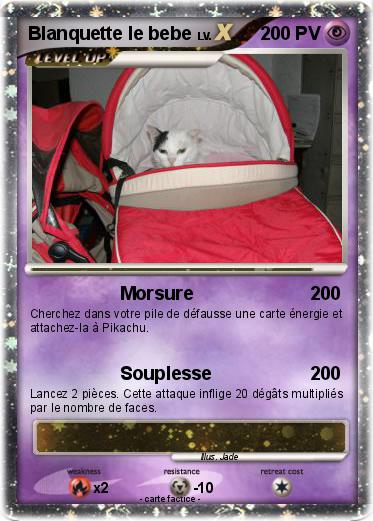 Pokemon Blanquette le bebe