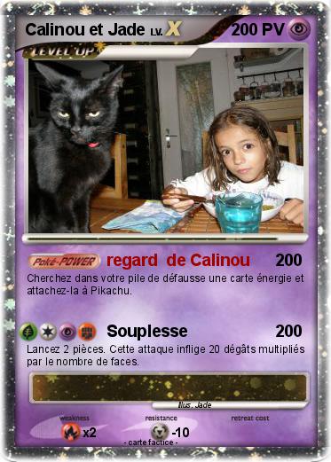 Pokemon Calinou et Jade