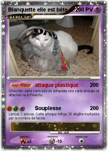 Pokemon Blanquette elle est bête