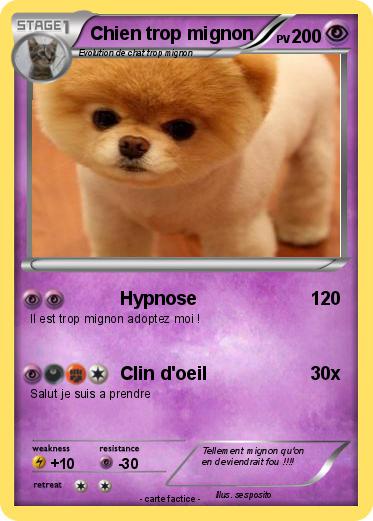 Pokemon Chien trop mignon