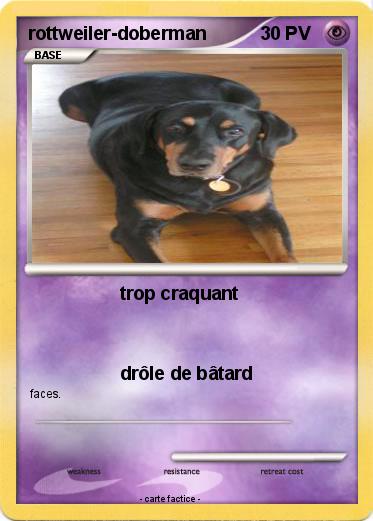 Pokemon rottweiler-doberman