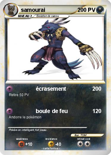 Pokemon samourai
