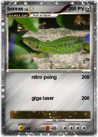 Pokemon boreas