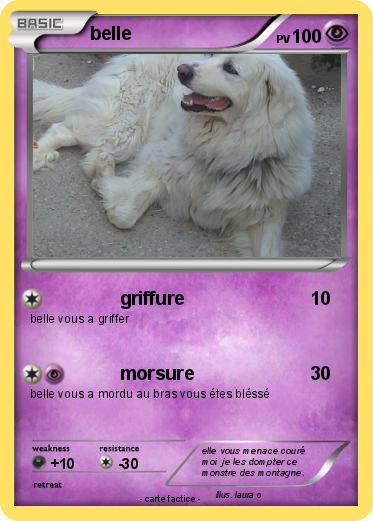 Pokemon belle
