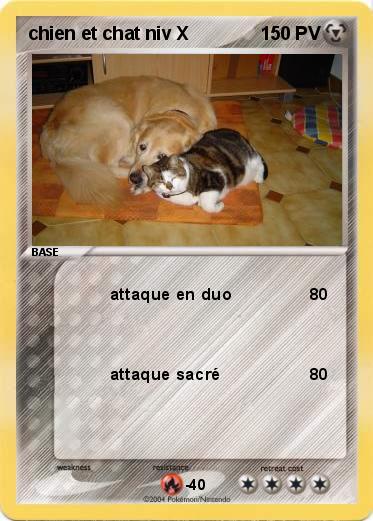 Pokemon chien et chat niv X