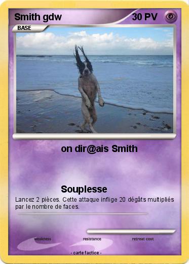 Pokemon Smith gdw