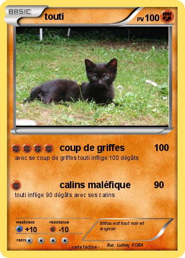 Pokemon touti