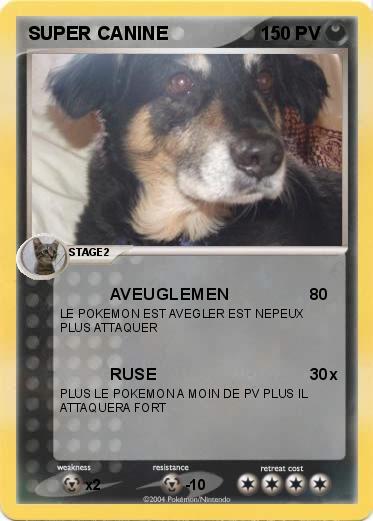 Pokemon SUPER CANINE