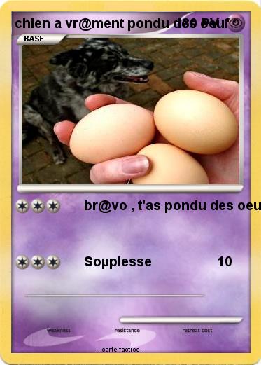 Pokemon chien a vr@ment pondu des oeuf