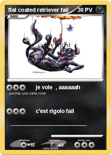 Pokemon flat coated retriever fail