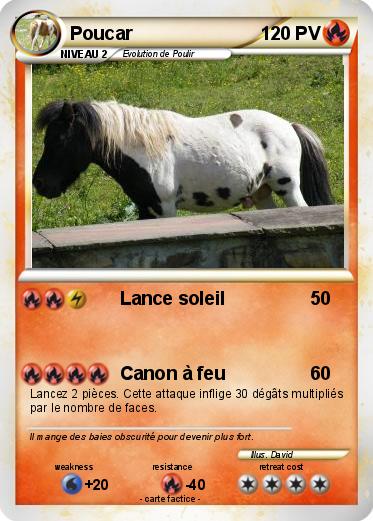 Pokemon Poucar