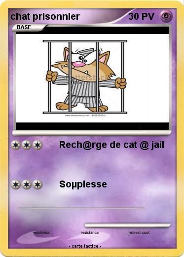 Pokemon chat prisonnier