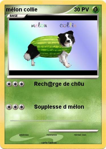 Pokemon mélon collie