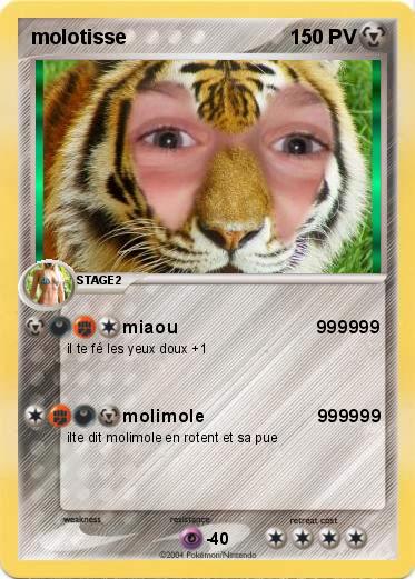 Pokemon molotisse