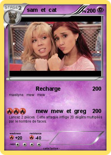 Pokemon sam  et  cat