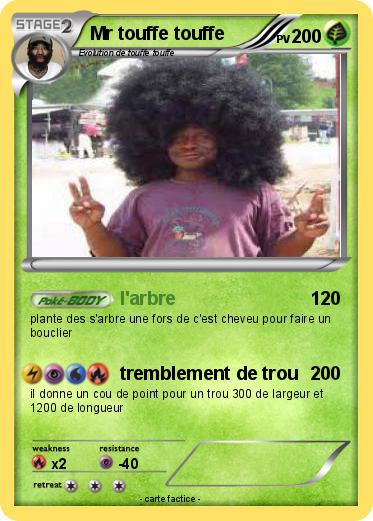 Pokemon Mr touffe touffe