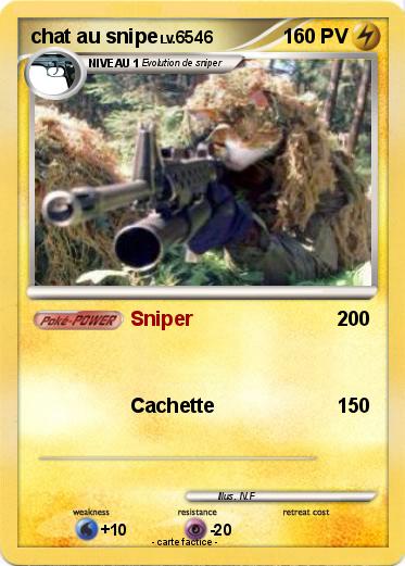 Pokemon chat au snipe