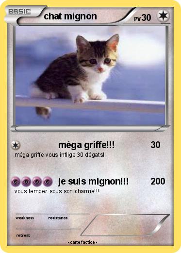 Pokemon chat mignon