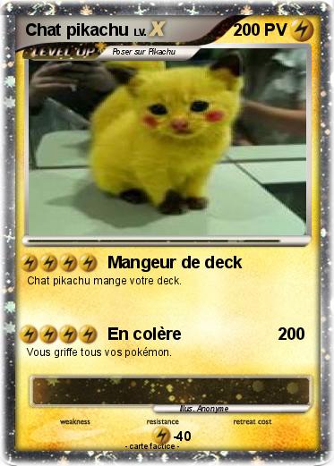 Pokemon Chat pikachu
