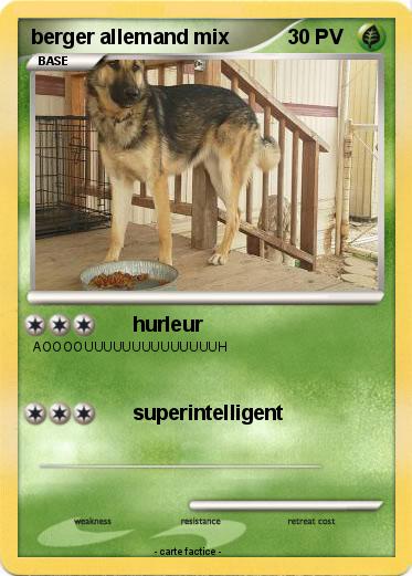 Pokemon berger allemand mix