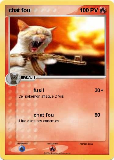 Pokemon chat fou