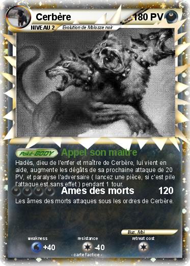 Pokemon Cerbère