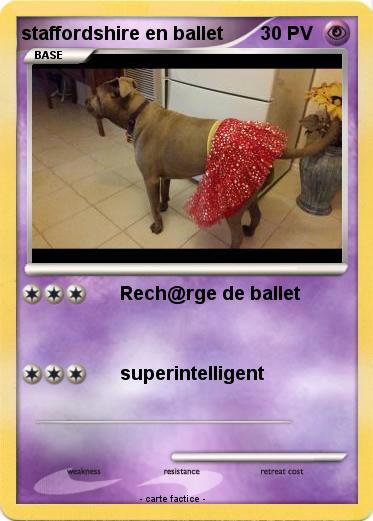 Pokemon staffordshire en ballet