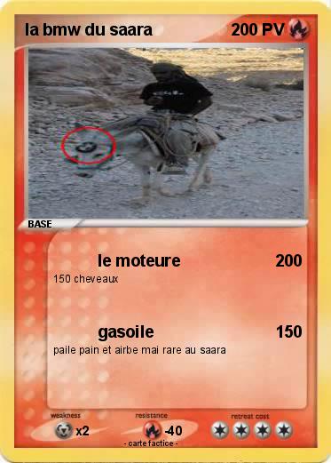 Pokemon la bmw du saara