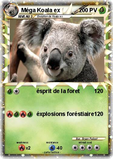 Pokemon Méga Koala ex