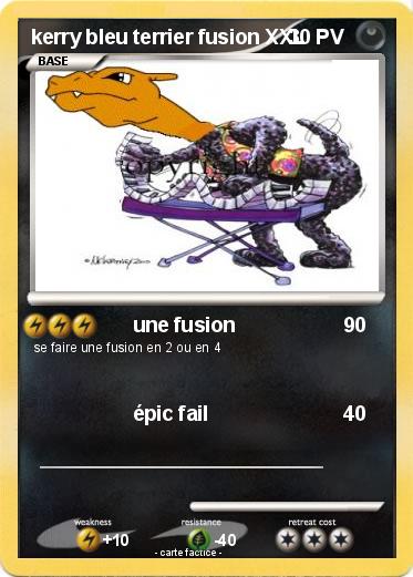 Pokemon kerry bleu terrier fusion XXL