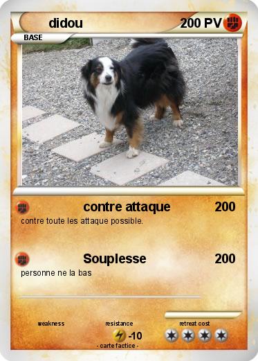 Pokemon didou