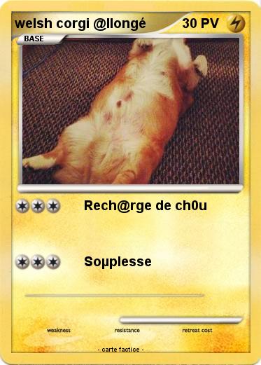 Pokemon welsh corgi @llongé