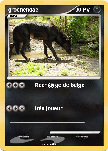Pokemon groenendael