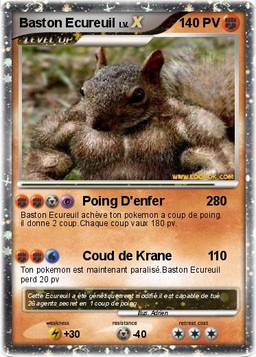 Pokemon Baston Ecureuil