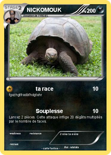 Pokemon NICKOMOUK