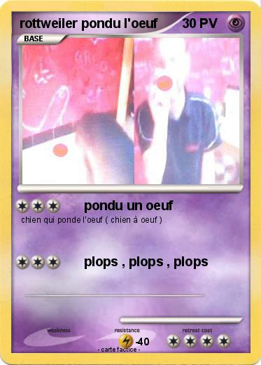 Pokemon rottweiler pondu l'oeuf