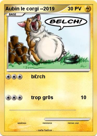 Pokemon Aubin le corgi --2019