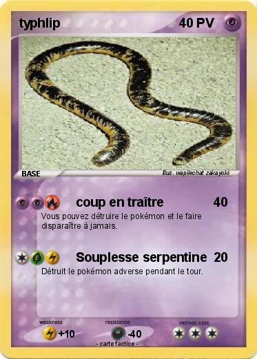 Pokemon typhlip