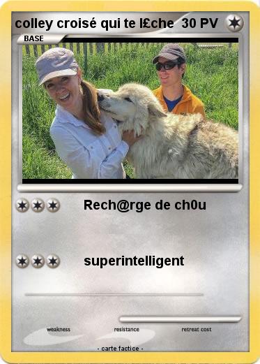 Pokemon colley croisé qui te l£che