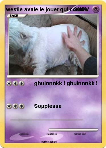 Pokemon westie avale le jouet qui couine