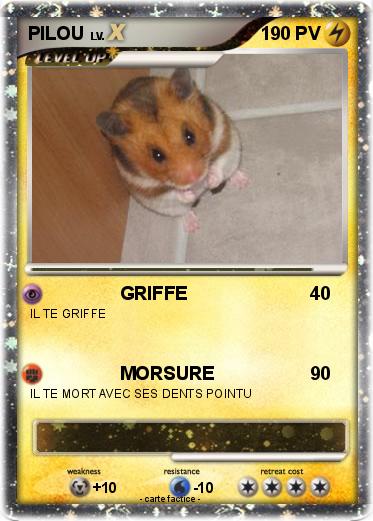 Pokemon PILOU