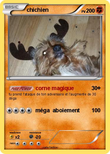 Pokemon chichien