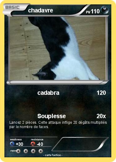 Pokemon chadavre