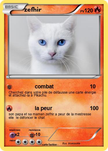 Pokemon zefhir