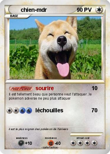 Pokemon chien-mdr