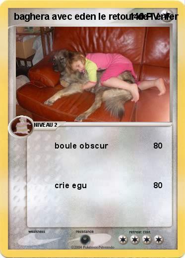 Pokemon baghera avec eden le retour de l enfer